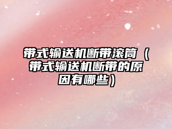 帶式輸送機(jī)斷帶滾筒（帶式輸送機(jī)斷帶的原因有哪些）