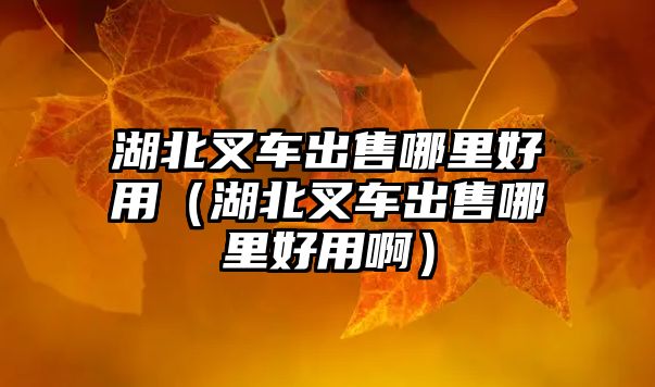 湖北叉車出售哪里好用(湖北叉車出售哪里好用?。? class=