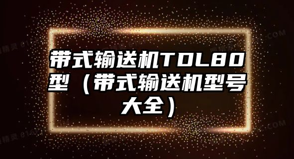 帶式輸送機(jī)TDL80型（帶式輸送機(jī)型號(hào)大全）