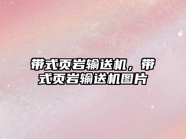 帶式頁(yè)巖輸送機(jī)，帶式頁(yè)巖輸送機(jī)圖片