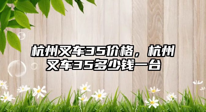 杭州叉車35價(jià)格，杭州叉車35多少錢一臺(tái)