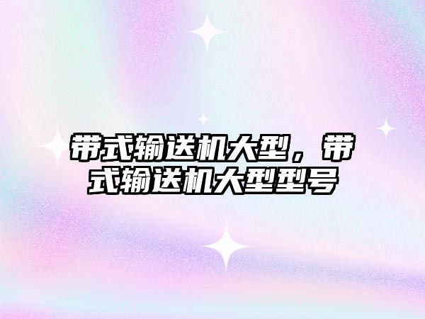 帶式輸送機(jī)大型，帶式輸送機(jī)大型型號