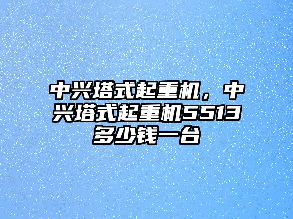 中興塔式起重機(jī)，中興塔式起重機(jī)5513多少錢一臺