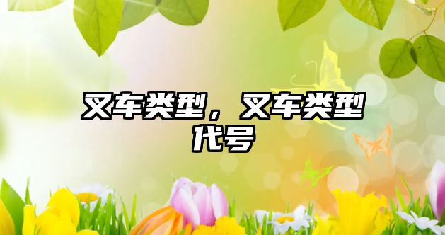 叉車(chē)類(lèi)型,叉車(chē)類(lèi)型代號(hào)